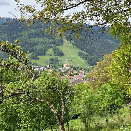 Kreischblick Lägenhet Sankt Georgen ob Murau