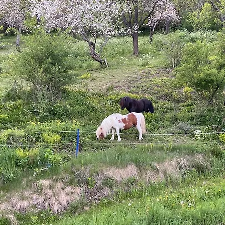Apartment Kreischblick Sankt Georgen ob Murau