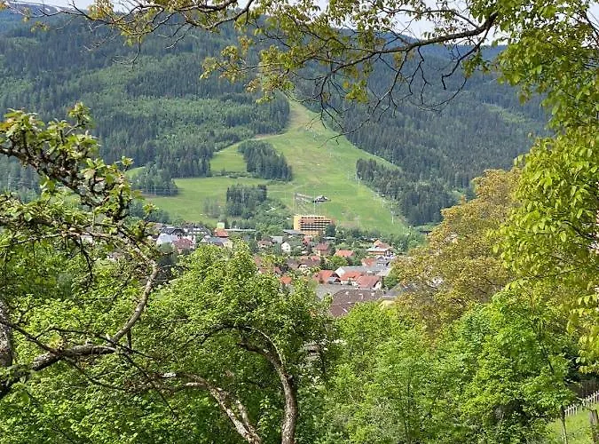 Kreischblick Apartment Sankt Georgen ob Murau