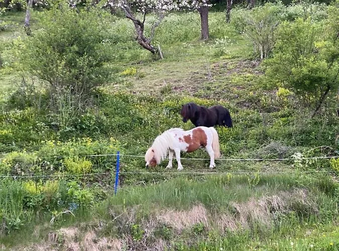 Apartman Kreischblick Sankt Georgen ob Murau